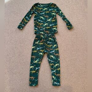 Cat & Jack Dinosaur Pajama Set - Dark Green